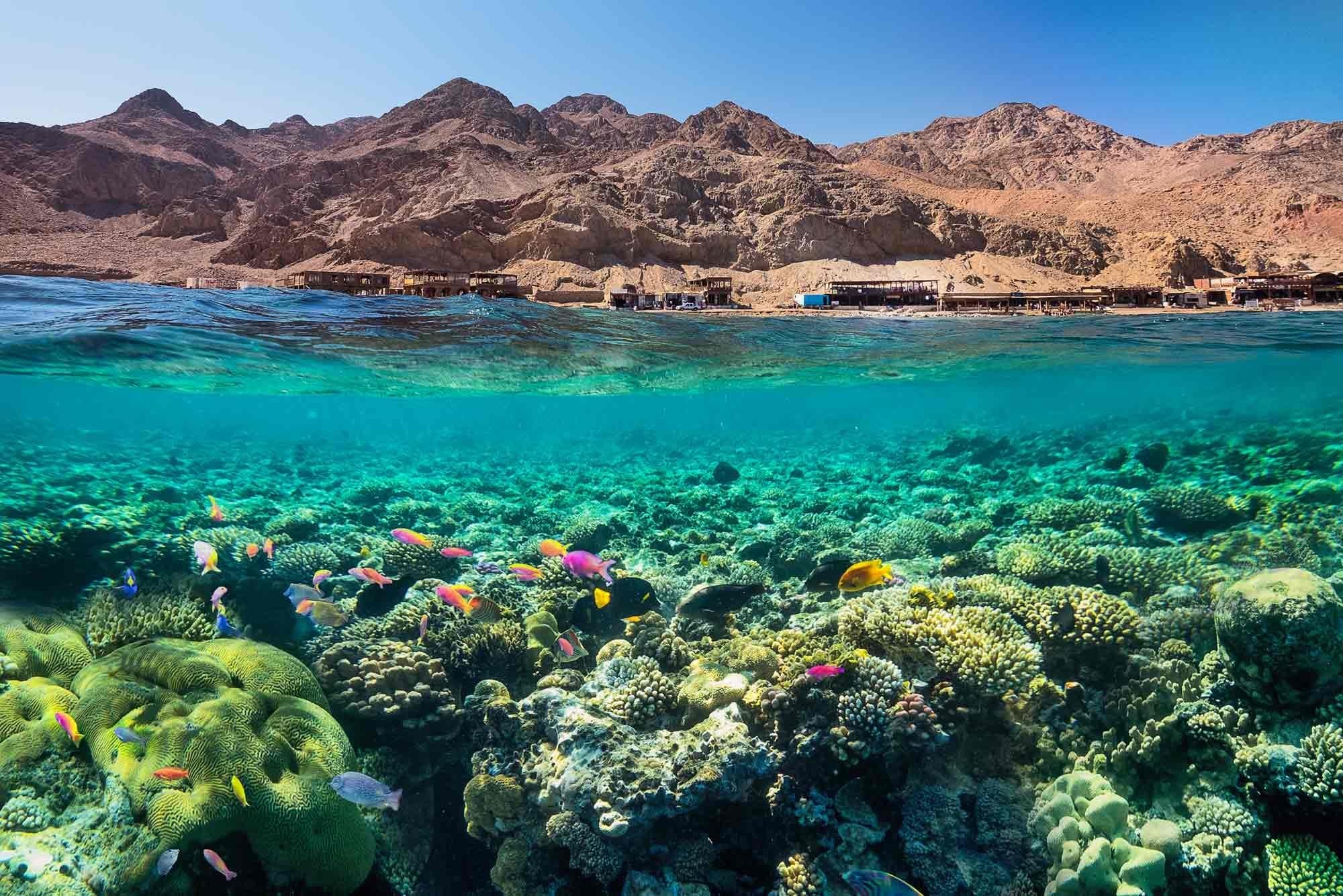 Red Sea Holidays